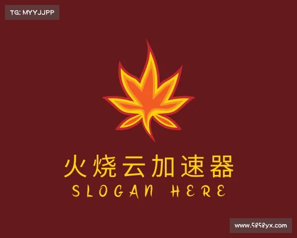 解读火烧云加速器